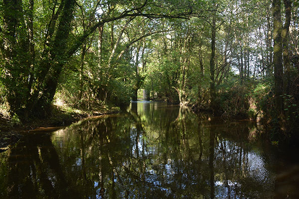 River Bridge