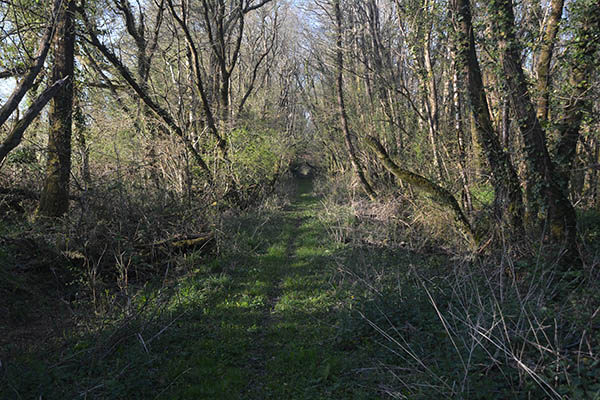 Disused Railway Line